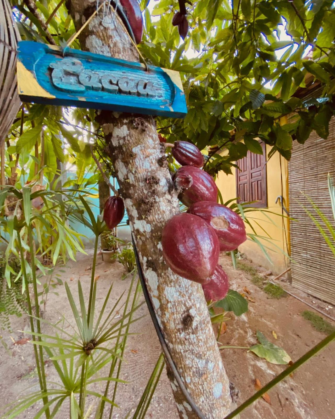 Caraiva Recanto Pousada De Ferias 외부 사진